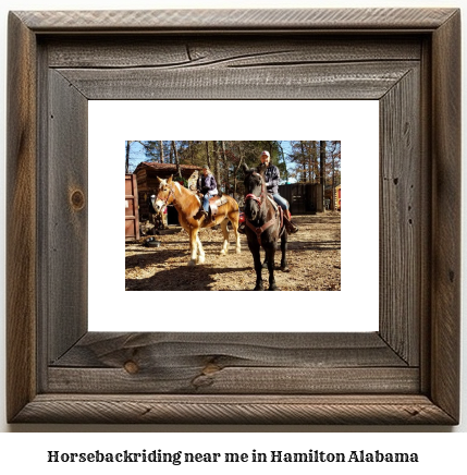 horseback riding near me in Hamilton, Alabama